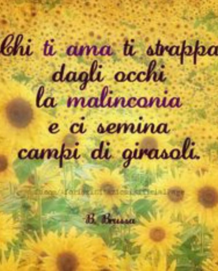 DeriuRegina's tweet photo. #SeDicessi che 
Per l'8 marzo
Lasciamo
Le mimose
Sulle piante
E alle donne
Regaliamo ongni giorno
Ciò che non appassisce
Mai
Tenerezza, rispetto,
E Amore
#ScrivoDiStelle
Buonanotte a tutti voi https://t.co/2iLlaKAR1t