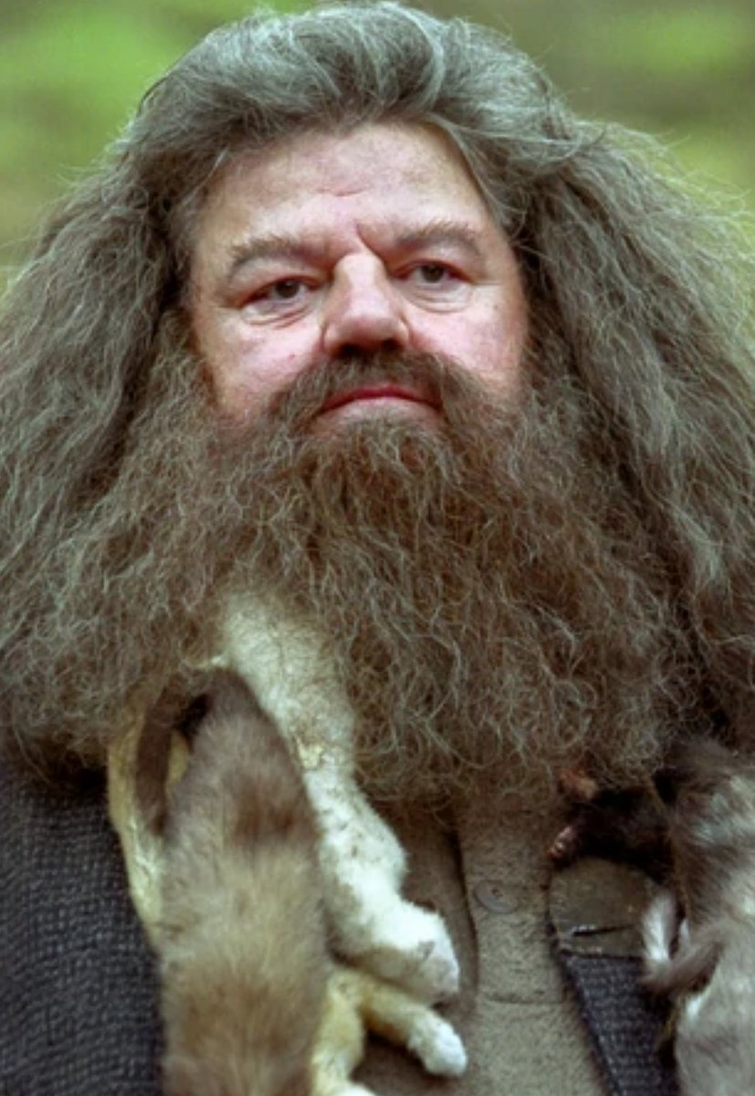 bobflob14's tweet photo. Hagrid. Badgrid. https://t.co/d5g1SVG1gU