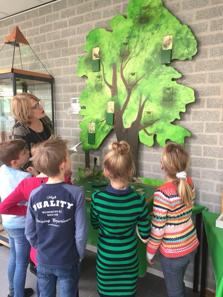 BsVoordeldonk's tweet photo. Groep 5 is naar het IVN geweest. Wat was het een ontzettend leuke, leerzame ochtend! We hebben weer veel geleerd over de eik.🌳 https://t.co/mhTizLh9Oo