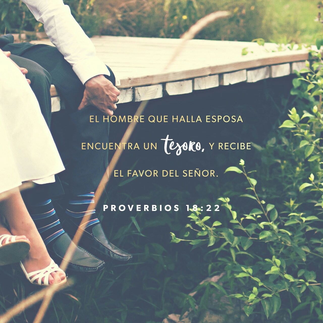 EsperanzaRadio CO sur Twitter : "El que halla esposa halla el bien, Y alcanza la benevolencia de Jehová. Proverbios 18:22 #sintonizaesperanza https://t.co/8yh1VswUS2 https://t.co/OyXFpdmY5V" / Twitter