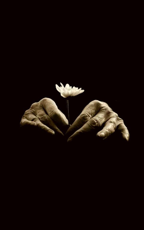 roux_isabelle's tweet photo. https://t.co/06dqp70Epw