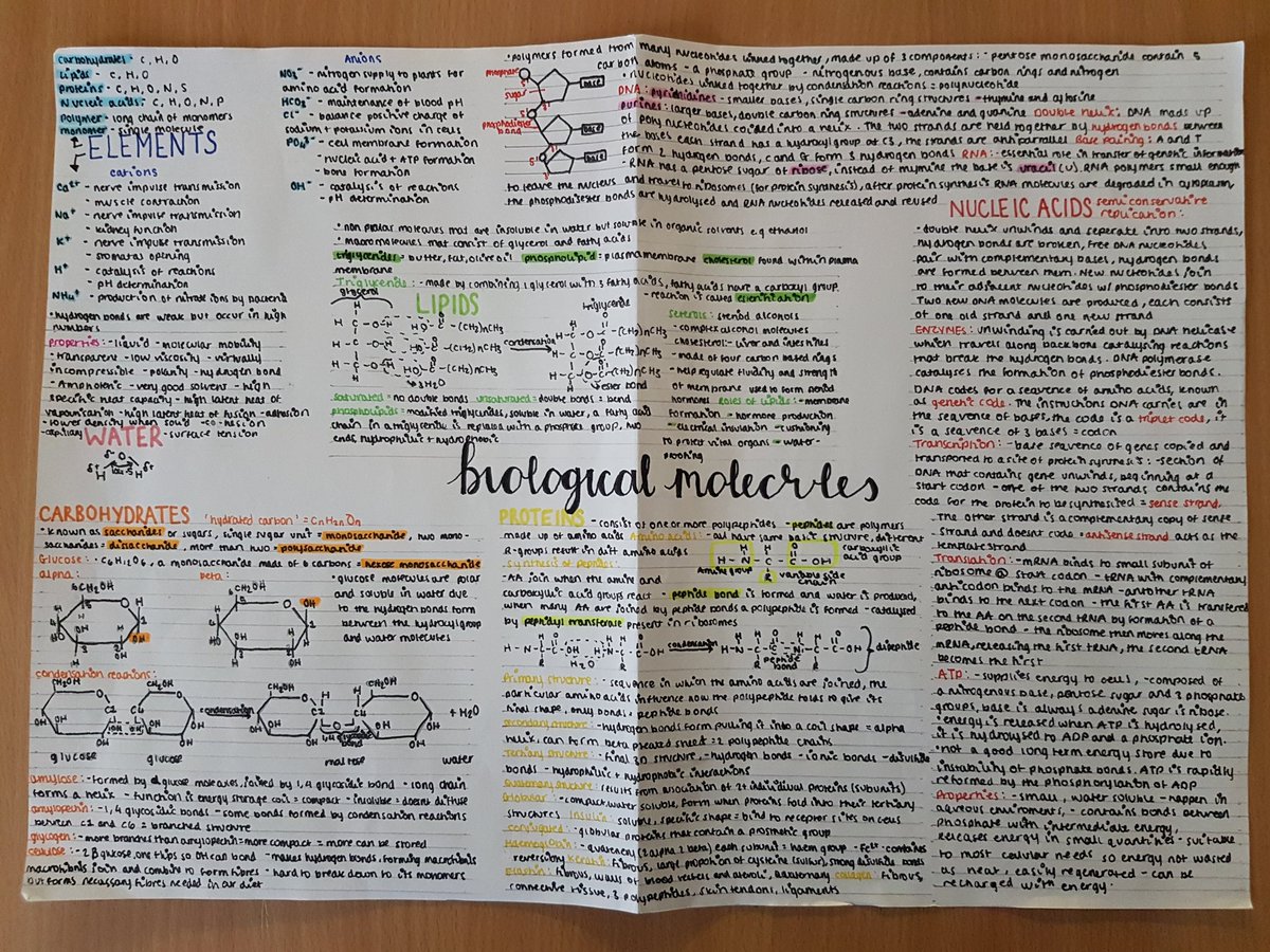 Snow days well spent by this year 12 student! If you magnify each word x100 and the image size was 50cm how big is the actual word in micro meters? @ocr_science #magnification #biologicalmolecules