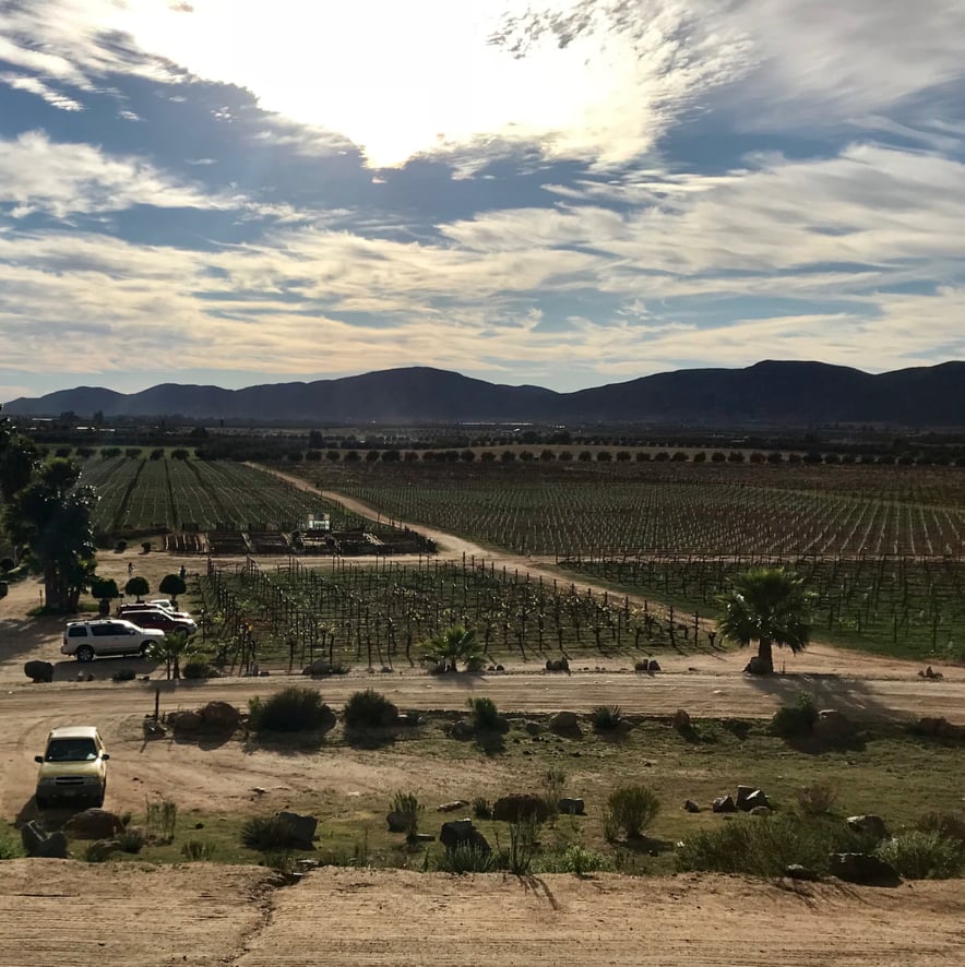 Monte_Xanic's tweet photo. De esas vistas que enamoran, ¡Realiza tu reservación ya para conocer nuestra vínicola! 
Foto: @danielchacon22
#ConoceMonteXanic #VinosMexicanos #ValleDeGuadalupe https://t.co/RLoxH5dCmx