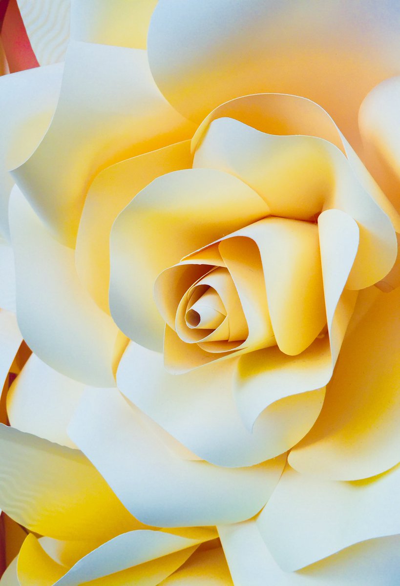 Amy's Garden Design (@agardendesign) on Twitter photo 