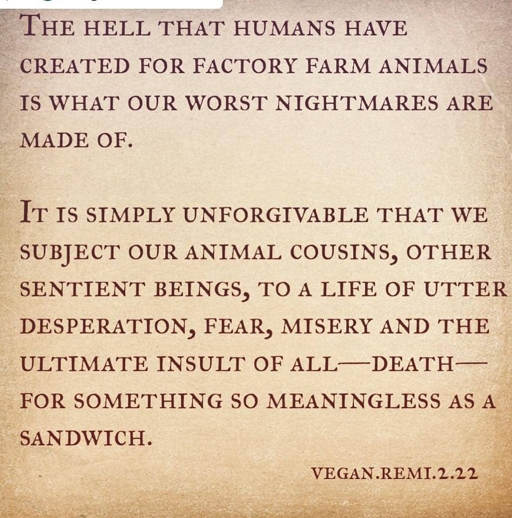 EliseHeidbuurt's tweet photo. #instagram
#vegan #crueltyfree #meatymarch #animaltesting #animalcruelty #bacon #ham #pork #meat #steak #filetmignon #chicken #chickennuggets #friedchicken #chickenwings #veal #hamburger #vegetarian #chooselife #killfloor #veganstastebetter https://t.co/vXX3WoYzhY