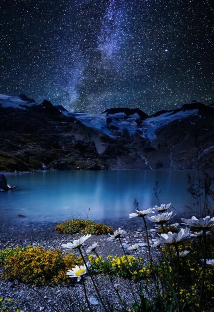 Il silenzio sussurra
sospiri di quiete,
una melodia di suoni
lontani quasi indistinti
accarezza lieve
la bellezza di un fiore,
la notte è la culla
di ogni anima

#Buonaserata 

#ParlamiDiPoesia