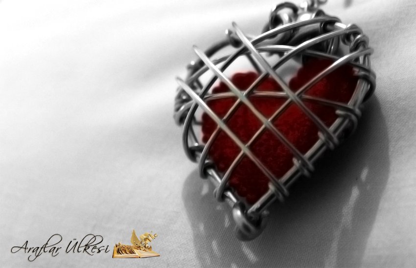 " Kimin nabzı kimin göğsünde atıyor 
farkında olmadan? "