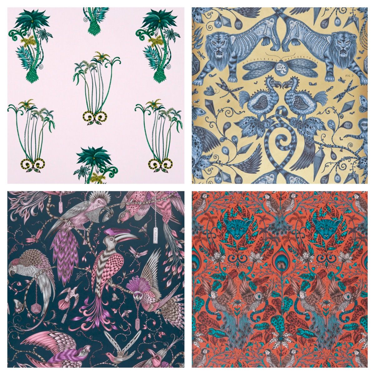 clarkeandclarke's tweet photo. Wallpaper Wednesdays
More of our @emmajshipley "jungle themed"  wallcoverings in distinctive colourways.Complement with coordinating furnishing fabrics in cotton satin and velvet.
.
.
.
#animalia
#emmajshipley
#EJSxCandC
#statementwalls
#featurewalls
#jungletheme
#clarkeandclarke https://t.co/iGrEtU09Di