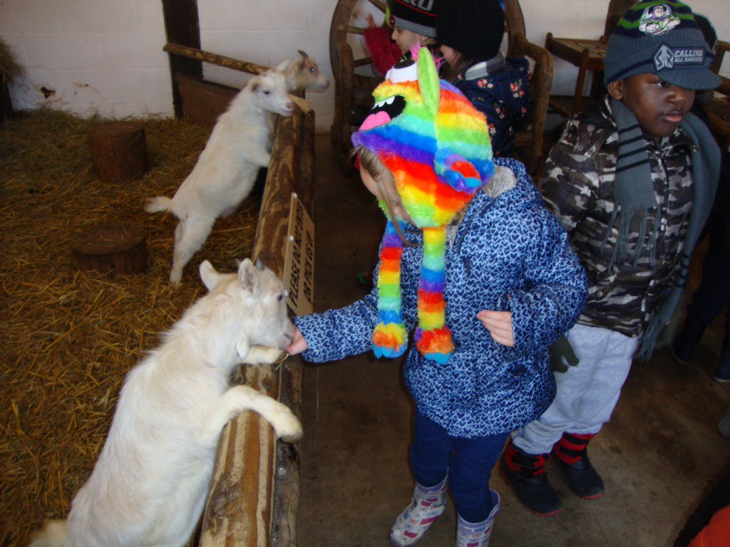 ManorPrimarySch's tweet photo. #Receptiontrip The children had a super time! Thank you @raysfarmpark https://t.co/WUFIRspYQu