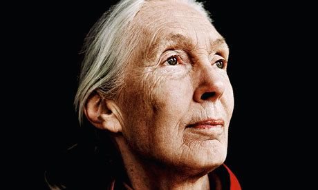 GreenpeaceAP's tweet photo. Happy International Women’s day 🎉 Spotlight on these extraordinary female environmental activists. ♀️ #IWD2018 https://t.co/cejc04ak8r https://t.co/Ry5LumPkvx