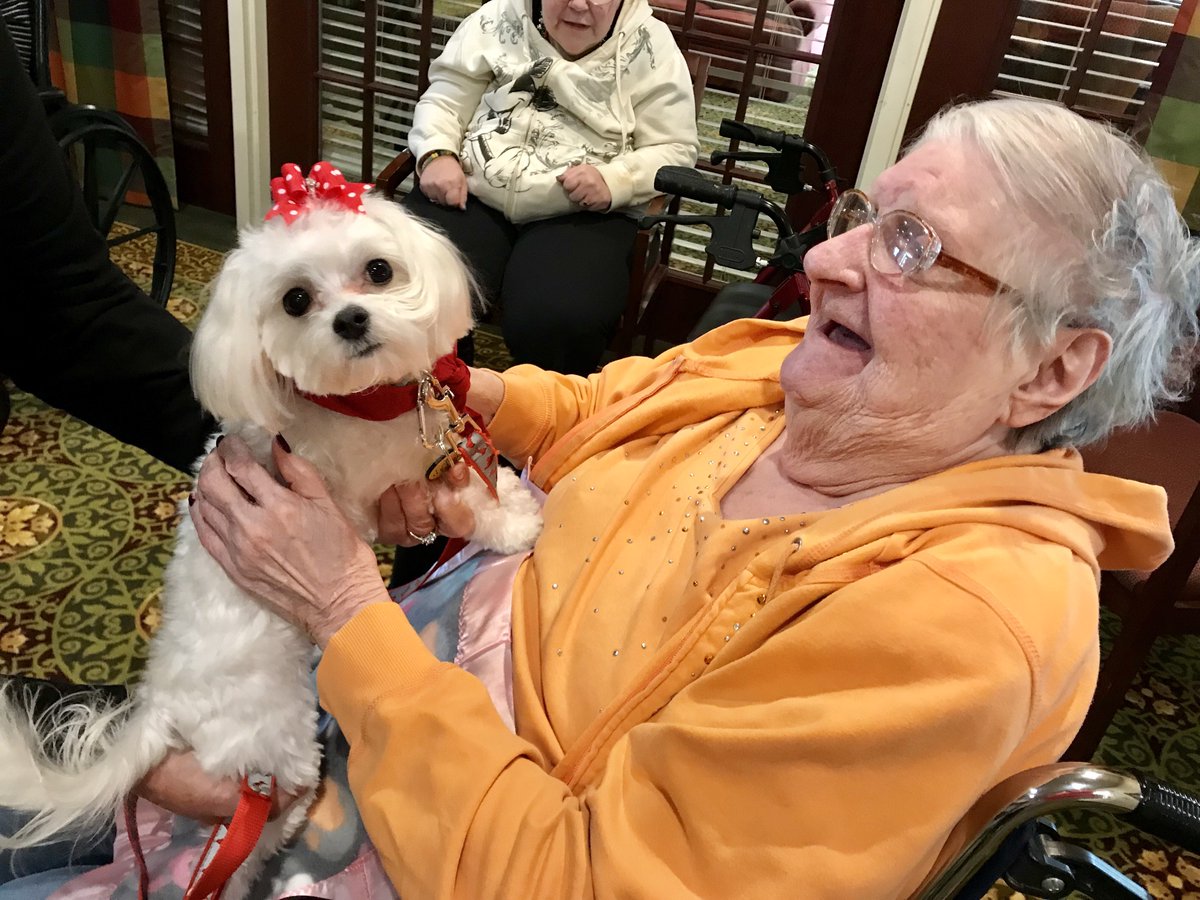 WCrossing's tweet photo. Pet therapy with Lexie! https://t.co/VFTxJhffZG