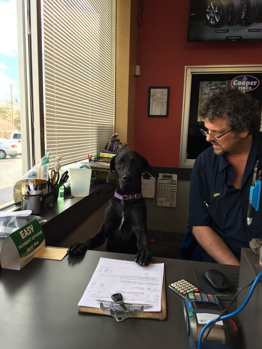 “Took care of that cat-alytic converter problem, ma’am. That’ll be 200 bones, please.” <a href="/meinekecarcare/">Meineke Car Care</a>