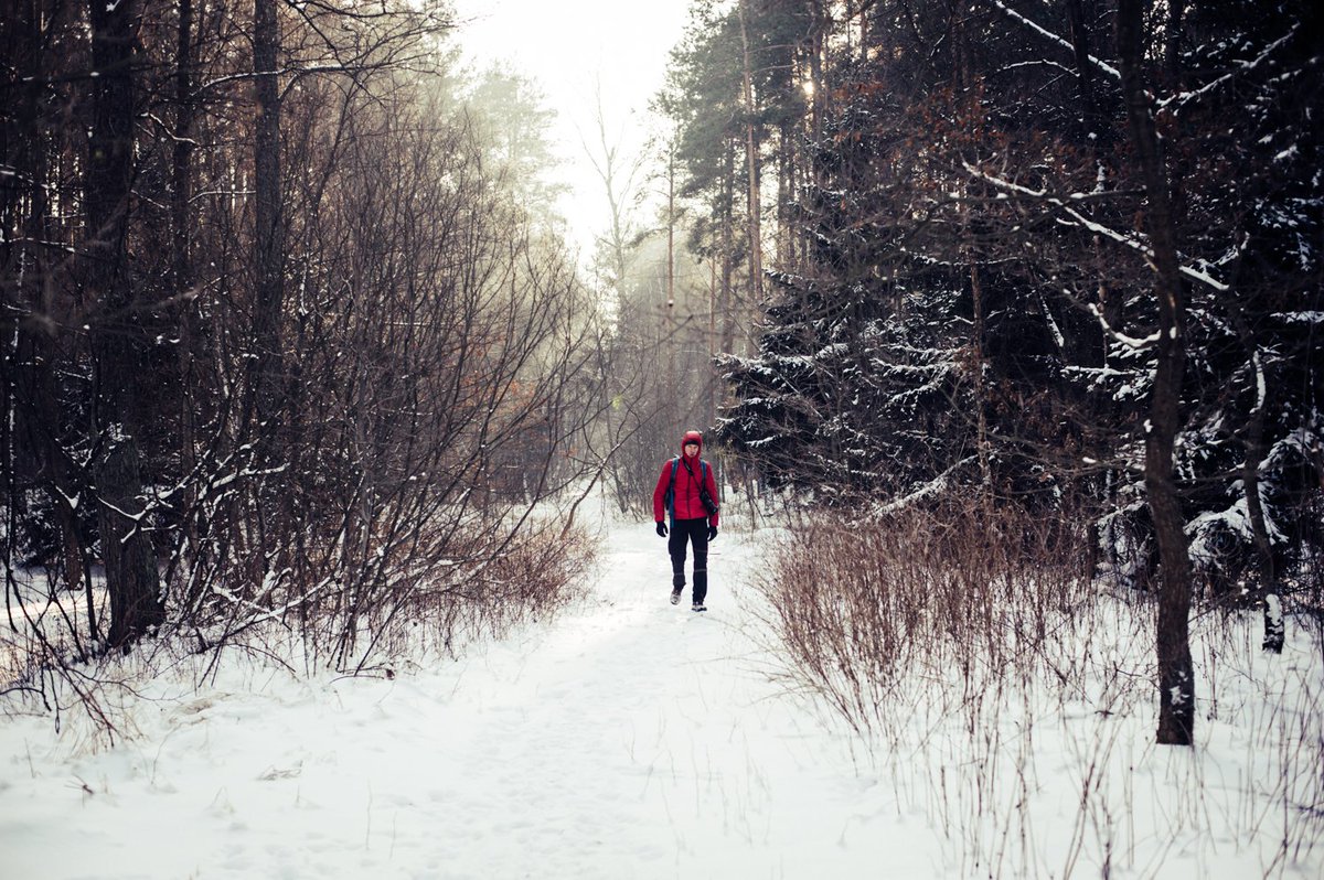 aroundgdansk's tweet photo. Still winter in #Gdańsk so take a look on some inspirations what to do!
https://t.co/vTD4llBvls
#Gdansk #winter https://t.co/OJJOPZszWN