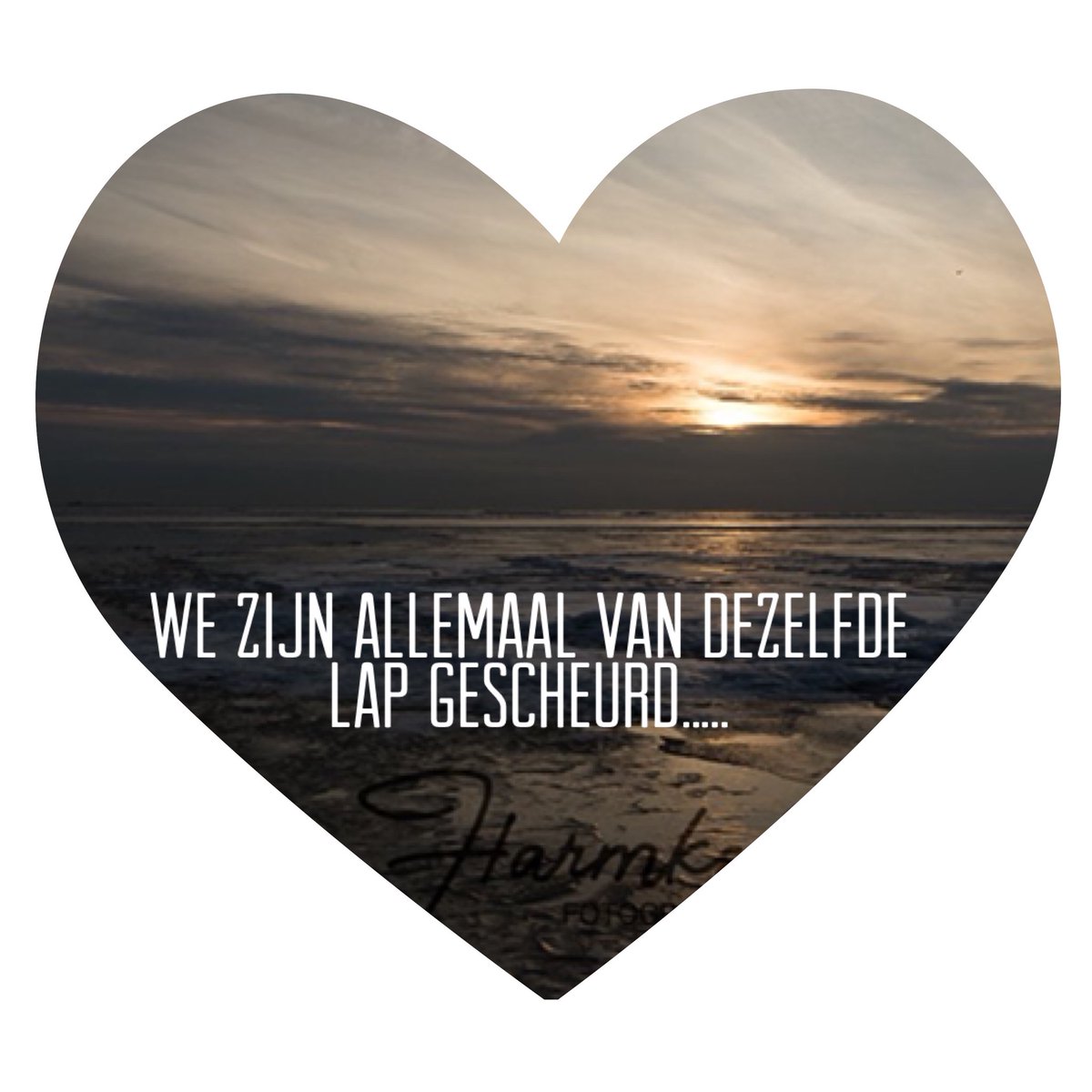 MarkCobussen's tweet photo. Om de nacht mee in te gaan...👣 #jankoffeman https://t.co/8bxEodOBlo