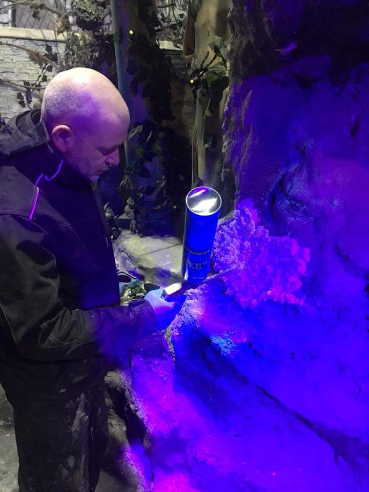 AltonTLC's tweet photo. A few more behind the scenes pics from the Duel TLC. These show the detailed repair and repaint work going on by our theming experts. Work includes having all the scenic walls and props repaired and painted, every single one of the 34 ride cars has had a paint job too! https://t.co/4ih3peKNCo