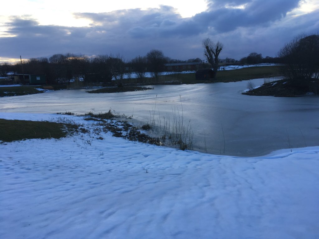 SrSpringrock's tweet image. 