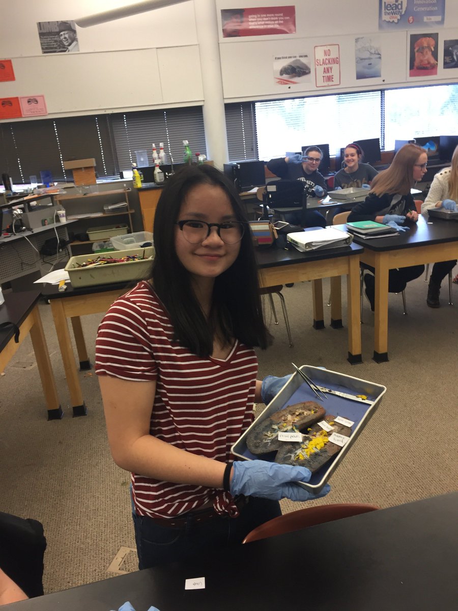 HBS students dissecting a kidney