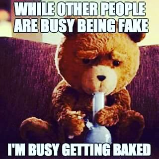 _justjess420's tweet photo. #420girls #420society #420life #420friendly #420fans #CannabisCommunity #marijuana #CannabisCommunity #Flowers #cannabis https://t.co/XZOLkmR32n