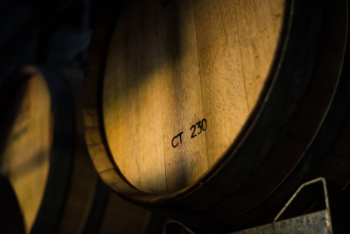 BodegaStocco's tweet photo. Nuestra Bodega, podemos visitarla de Lunes a Viernes. Contactanos! #Turismo #turismonacional #Maipu #wine #barrel #oak #reservewine #onlyintheworl https://t.co/bH3ZB8VMaY