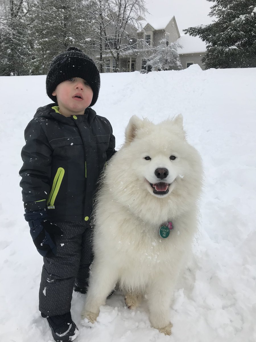 #snowday2018 #6abcAction