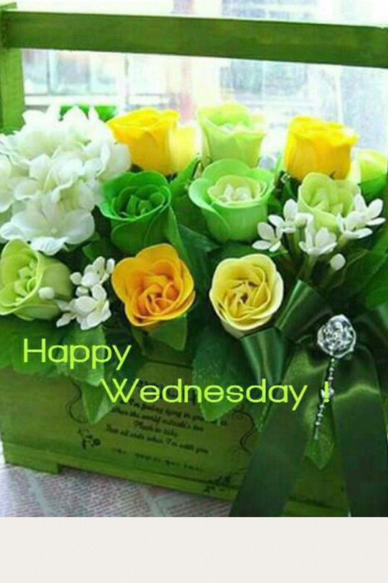rosmarie1291 tweet media
