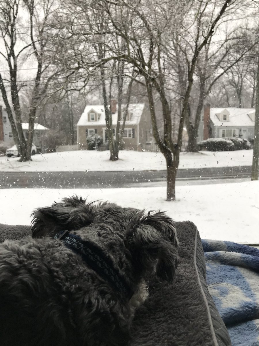 Very relaxing ❄️ snow day