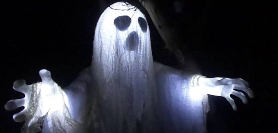 синие глаза.