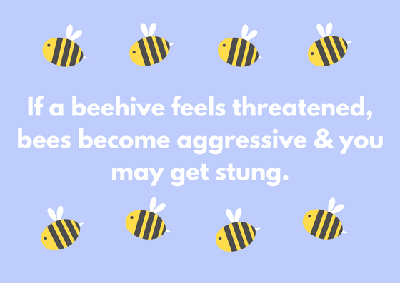 foothills_pest's tweet photo. When a colony of bees takes up residence in your backyard, it may seem harmless, however bees can get defensive quickly when it comes to their home. https://t.co/FdK3Q3or8F