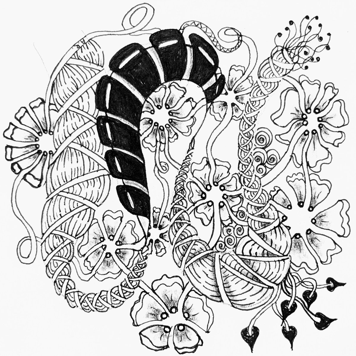 fintangle's tweet image. #NuevaFotoDePerfil