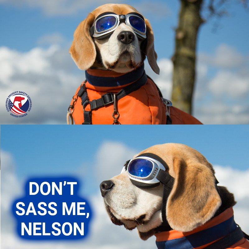 Barks McWoofins looks at Nelson and says, "Don't sass me, Nelson."