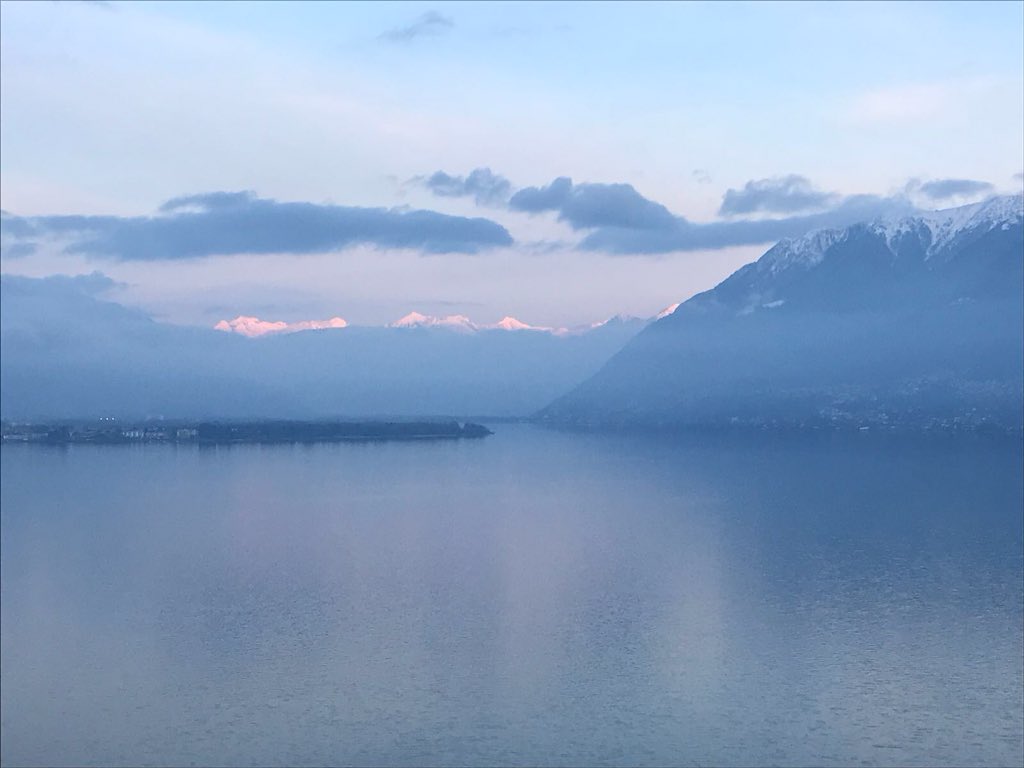 rebagdata's tweet photo. Prächtige Aussichten 🤩 beim Besuch im Hotel La Rocca #ascona #rebagdata #protelfamily #myswitzerland https://t.co/dCWv7C27Nu