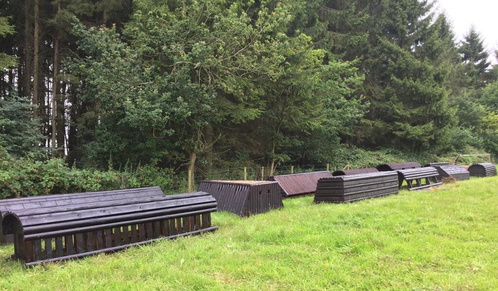 Entries are filling up. Prizes are arriving. Sponsor on board. Thank you <a href="/TopSpec2/">TopSpec</a> <a href="/Best_Horse_Gear/">Total Equestrian</a> Total Equestrian  <a href="/hoofbalm/">Silverfeet Hoof Balm</a> Silverfeet Hoof Balm