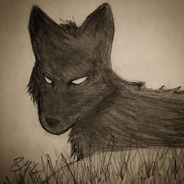Evarance's tweet photo. Come now Shadai, heed the call of the darkness and find shelter within its dark embrace. ๐บ #wolfwednesday #wolf #shadowwolf #evarance #yafantasy #mgfantasy #middlegradebooks #book #booklover #fiction #shadowwolfwednesday https://t.co/7tMyOqnmSR https://t.co/0SGgOMDgub