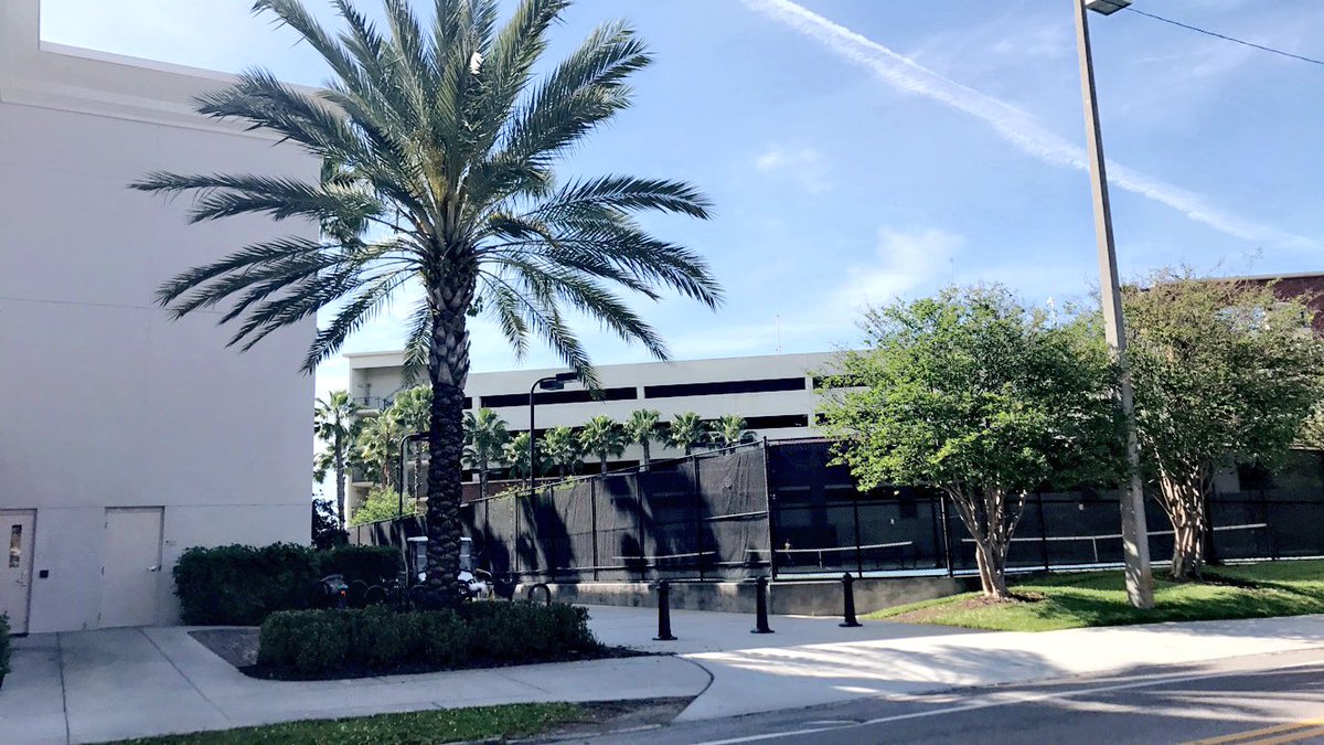 carly_bocchieri's tweet photo. @omgzangela @a_bootsma and I decided to "sneak" onto UTs campus.... we got cute pics but #GoBullss https://t.co/o3KZnOwsfg