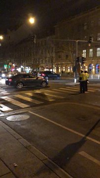 Bild auf Twitter anzeigen