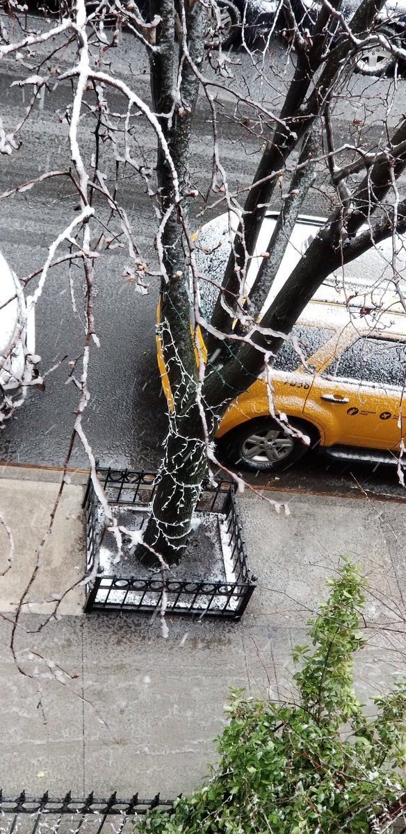 Winter Storm Quinn NYC 

#StormHour #Snow #snowday2018 #thundersnow #photography #nyc #SnowStormQuinn #snowday #Winter #WinterStormQuinn #Snowstorm #thunderstorm #snowphotography #snowphotos #WinterStorm #newyork #nyctaxi #snowy #500pxrtg #snowyday #WinterInNewYork #Weather @NYC