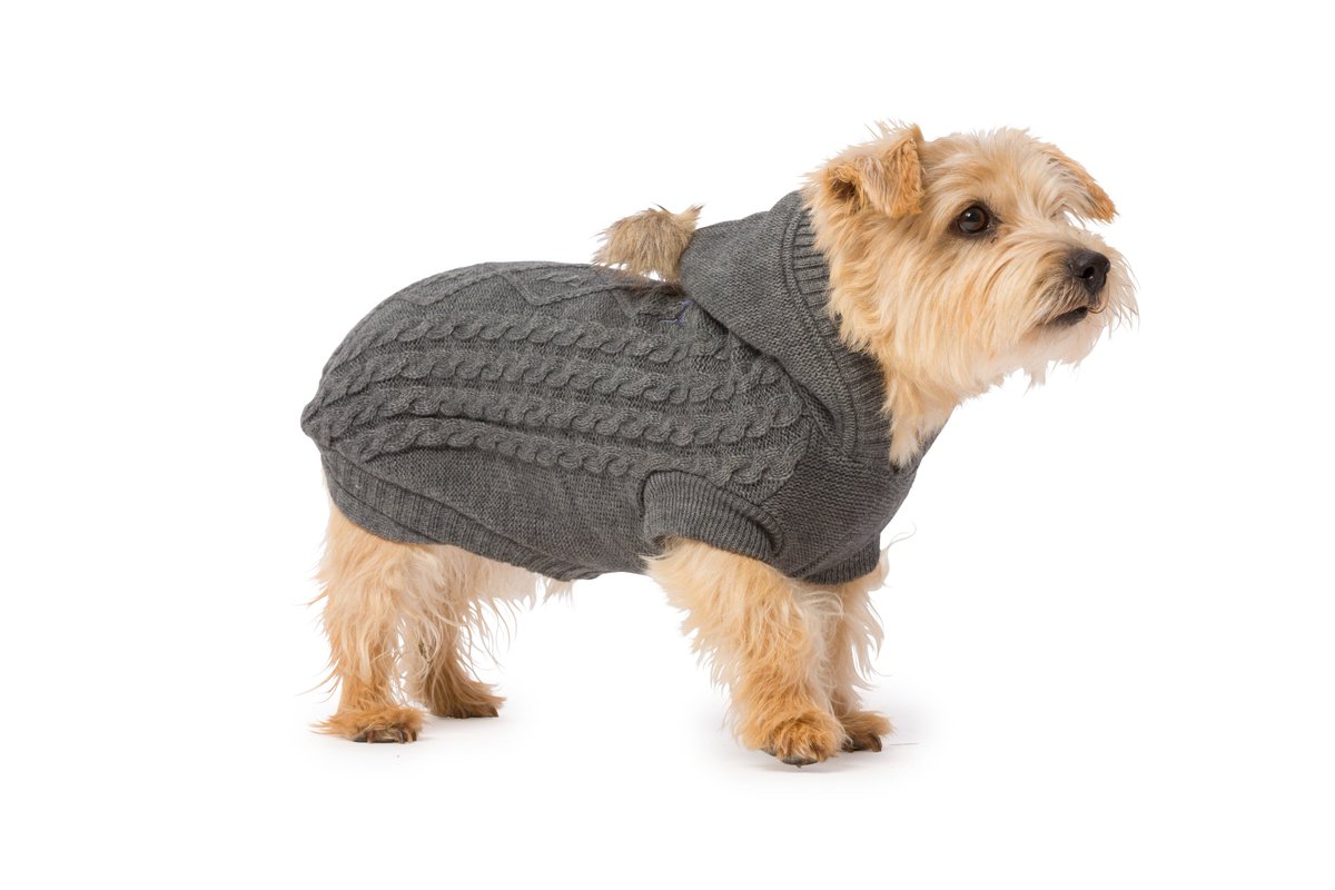 UnitedDogdom's tweet photo. #woofwoofwednesday #dogcoats #dogjumpers #dogshampoos #uniteddogdom #onlineboutique #10% off on first order #bonnieandbailey #danishdesign https://t.co/SL521xtXQP