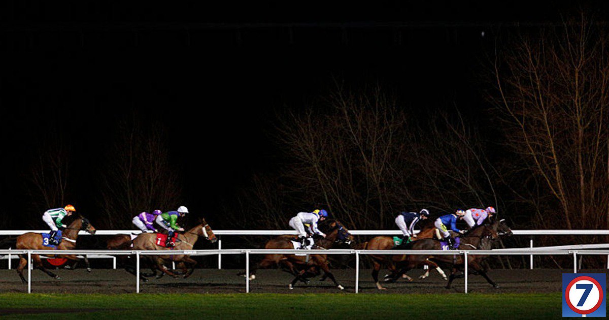 Pick7's tweet image. 👀 Heading into the finale, we have one #Pick7 player who has predicted six winners...

🙌 They need Handsome Dan to land the jackpot.