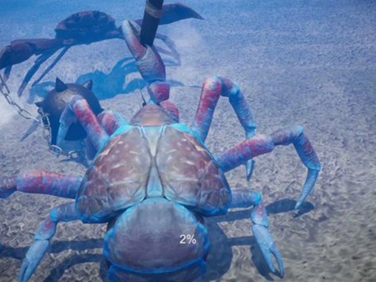 Uzivatel Nintendo Life Na Twitteru Ace Of Seafood Studio S Fight Crab Aims To Inflict Massive Damage On Switch Soon T Co Lhyqyqgdoh Repost Nintendoswitch T Co Dyvbkjalas Uzivatel Nintendo Life Na Twitteru Ace Of Seafood Studio S Fight Crab Aims To Inflict Massive Damage On Switch Soon T Co Lhyqyqgdoh Repost Nintendoswitch T Co Dyvbkjalas