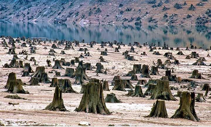 chemongesjared2's tweet photo. Greed passsed here. 
#HumanMess
#BeTheChange. https://t.co/rbHx2vyGCf