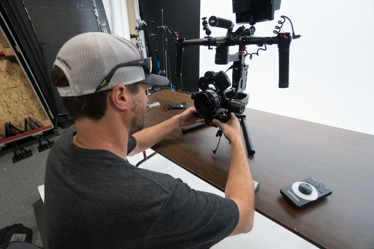 Motion Dogs tweet media