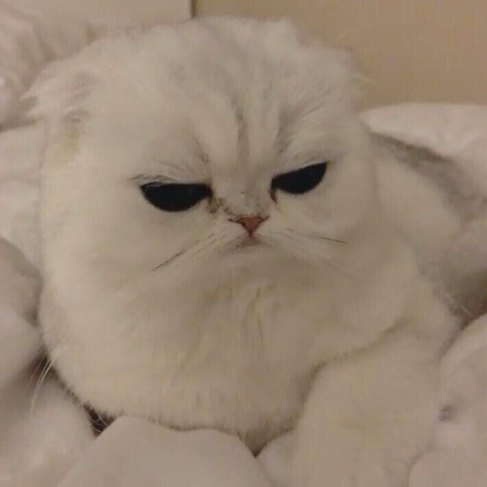 Hogwarts tweet media