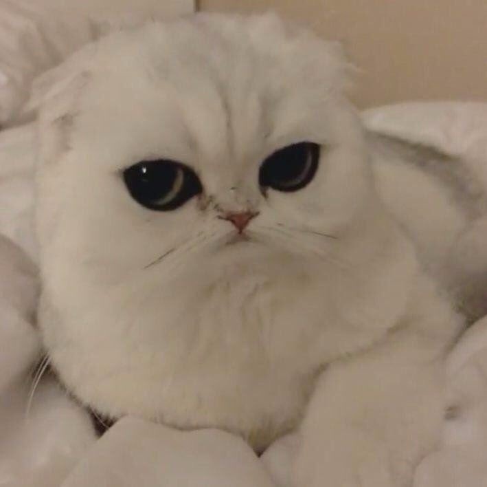 Hogwarts tweet media