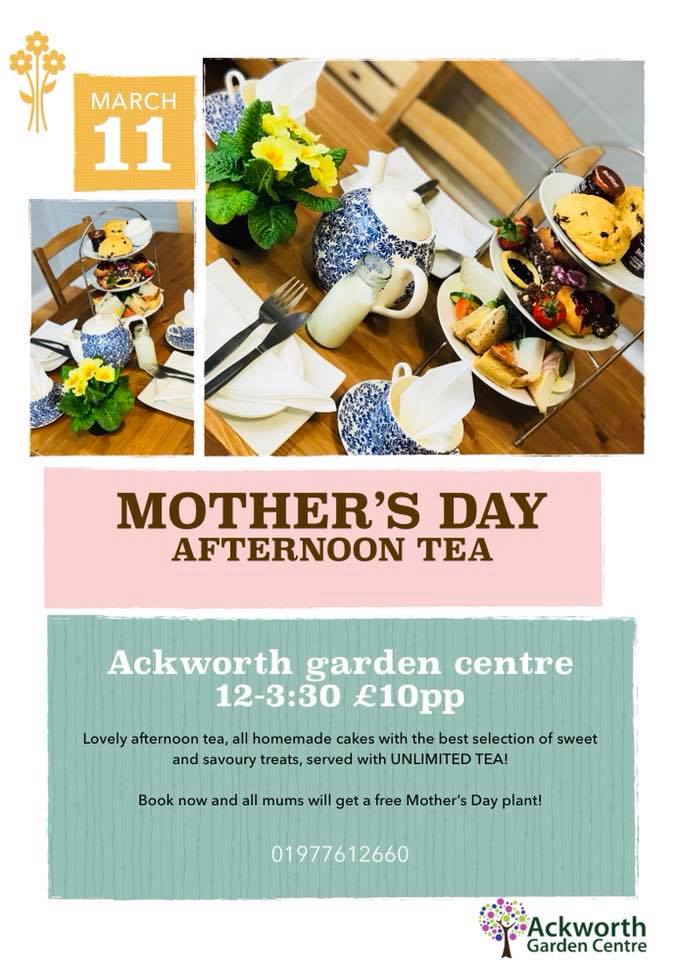 🌼🌸Mother’s Day afternoon tea <a href="/AckworthGardenC/">AckworthGardenCentre</a> ! 🌸