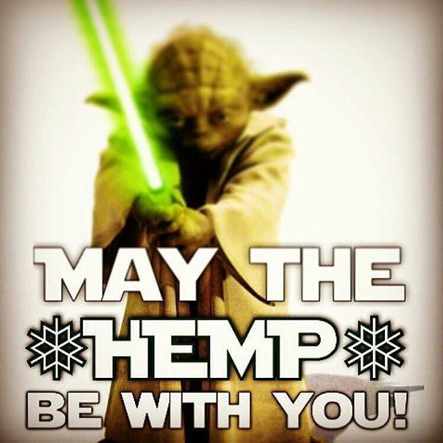 Hemp_Lords's tweet photo. https://t.co/XJb2aa1VAV https://t.co/OaYUi6TEUw