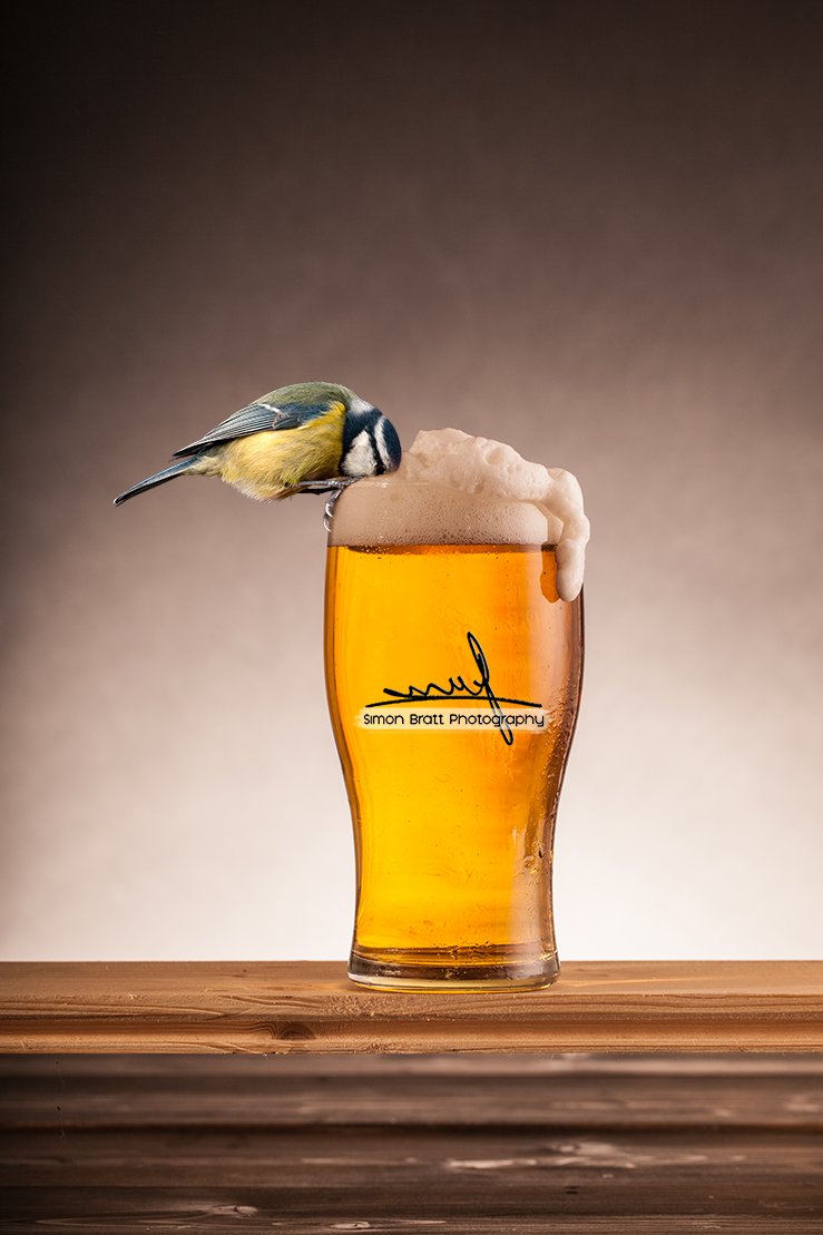 simonbrattphoto's tweet photo. "A Beer For The Birds" fun photograph uploaded to https://t.co/ChfK0Q78Vj! https://t.co/rzmdHnQwpR
#SupportNWT #norfolk #Natures_Voice #BritishBirds #BBCSpringWatch #WorldBirds38 #ChrisGPackham #WildlifePhotography #birdphotography #WildlifeTrusts https://t.co/a1VouTttss