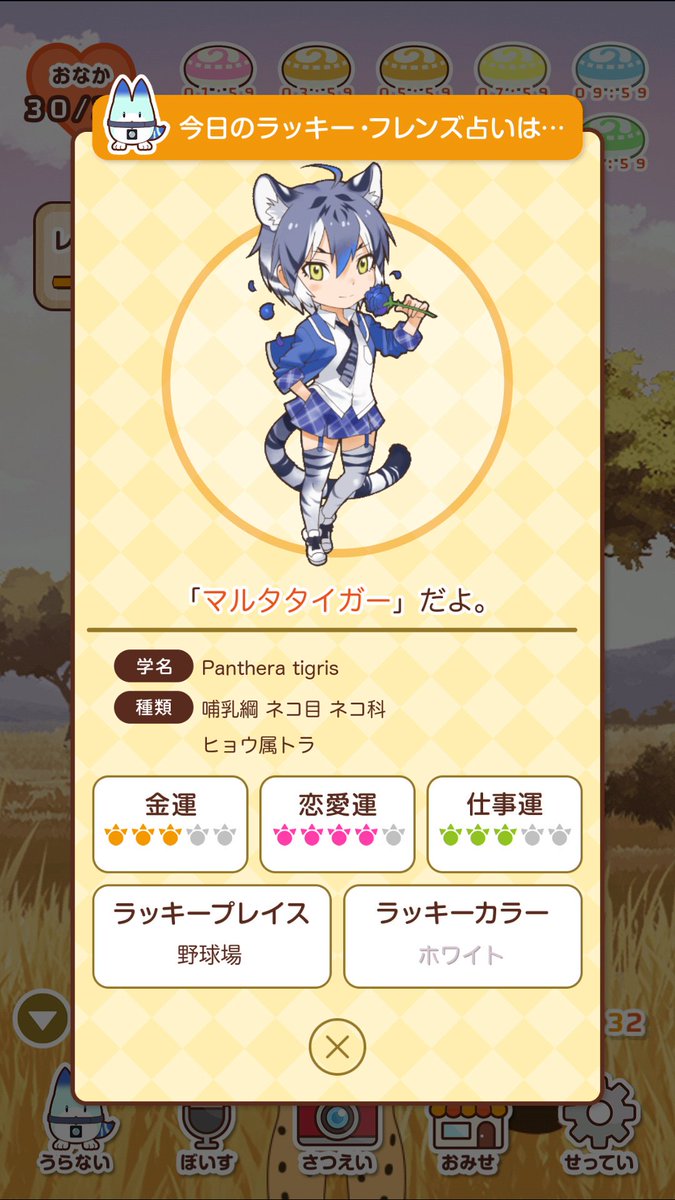 マルタタイガー Twitter Search