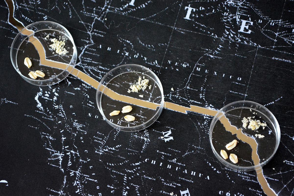 Slime mould researchers may be poised to rule the world bit.ly/2oX9PRH