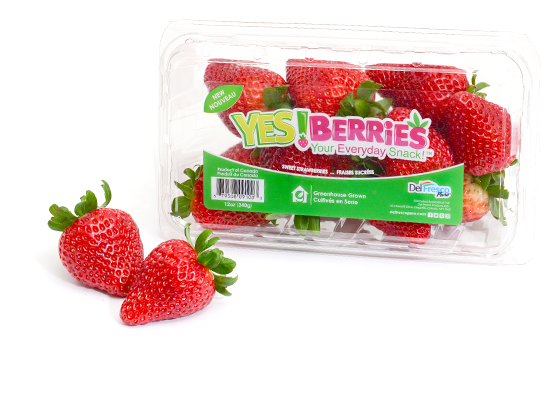 CarolHarrisonRD's tweet photo. Good to know!
A cup of #strawberries ๐ has MORE vitamin C than an orange ๐ .
Vitamin C with a meal โฌ๏ธ the iron we absorb from plant foods like grains, veggies, tofu or beans.
Ontario produces #greenhouse strawberries.
Look for #YESberries in stores.
#ad #LoveONTfood #AgRD https://t.co/zzrjR9EZb7