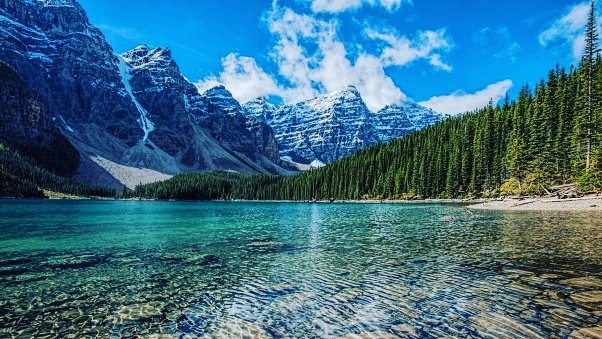 waqaskhattak99's tweet photo. Loius lake,Alberta...
#mountain #hicking #trail #park #khattak #picture #pic #landscape #cold #refreshment #skills #islamabad #freinds #student #sports #waqas #recentpicture #warm #prilaga #top #weather #water #margallahills #asmatullah #partofeducation #khan #pakistan #gathering https://t.co/6frF7aH1i6